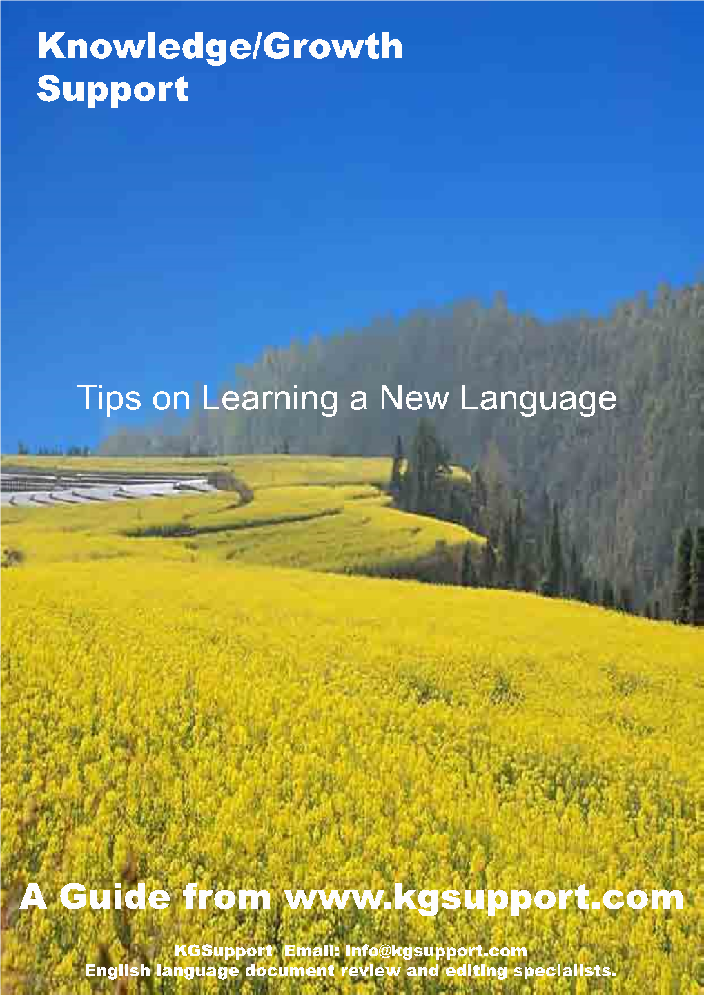 Tips on Learninga New Language