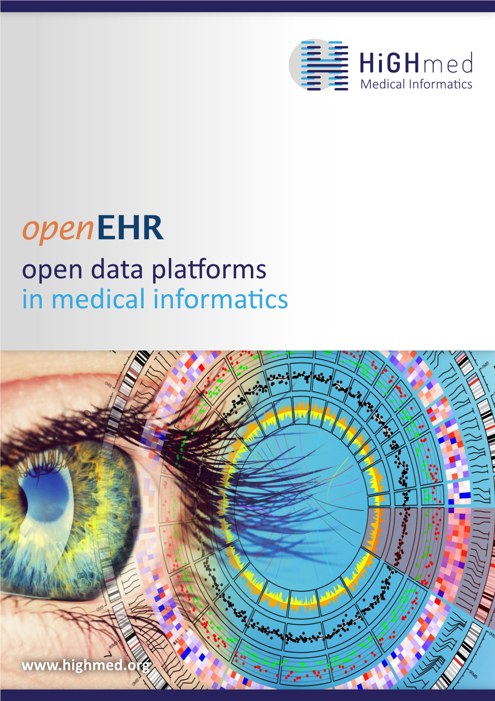 Openehr Open Data Platforms in Medical Informatics