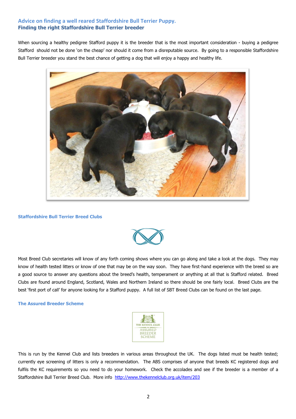Advice on Finding a Well Reared Staffordshire Bull Terrier Puppy