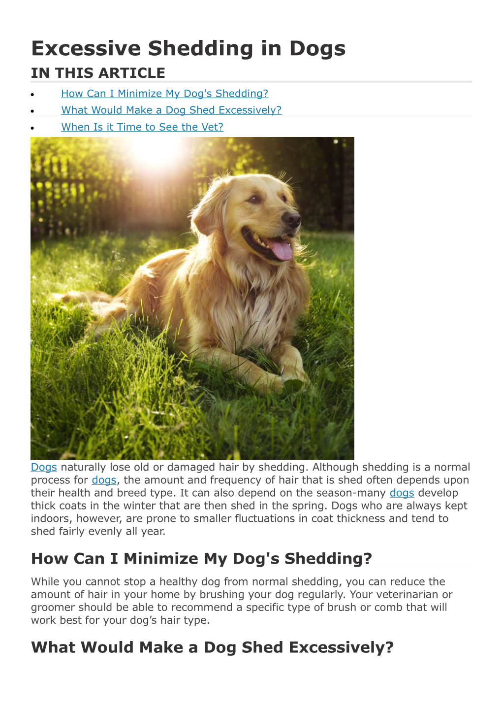 Excessive Shedding in Dogs