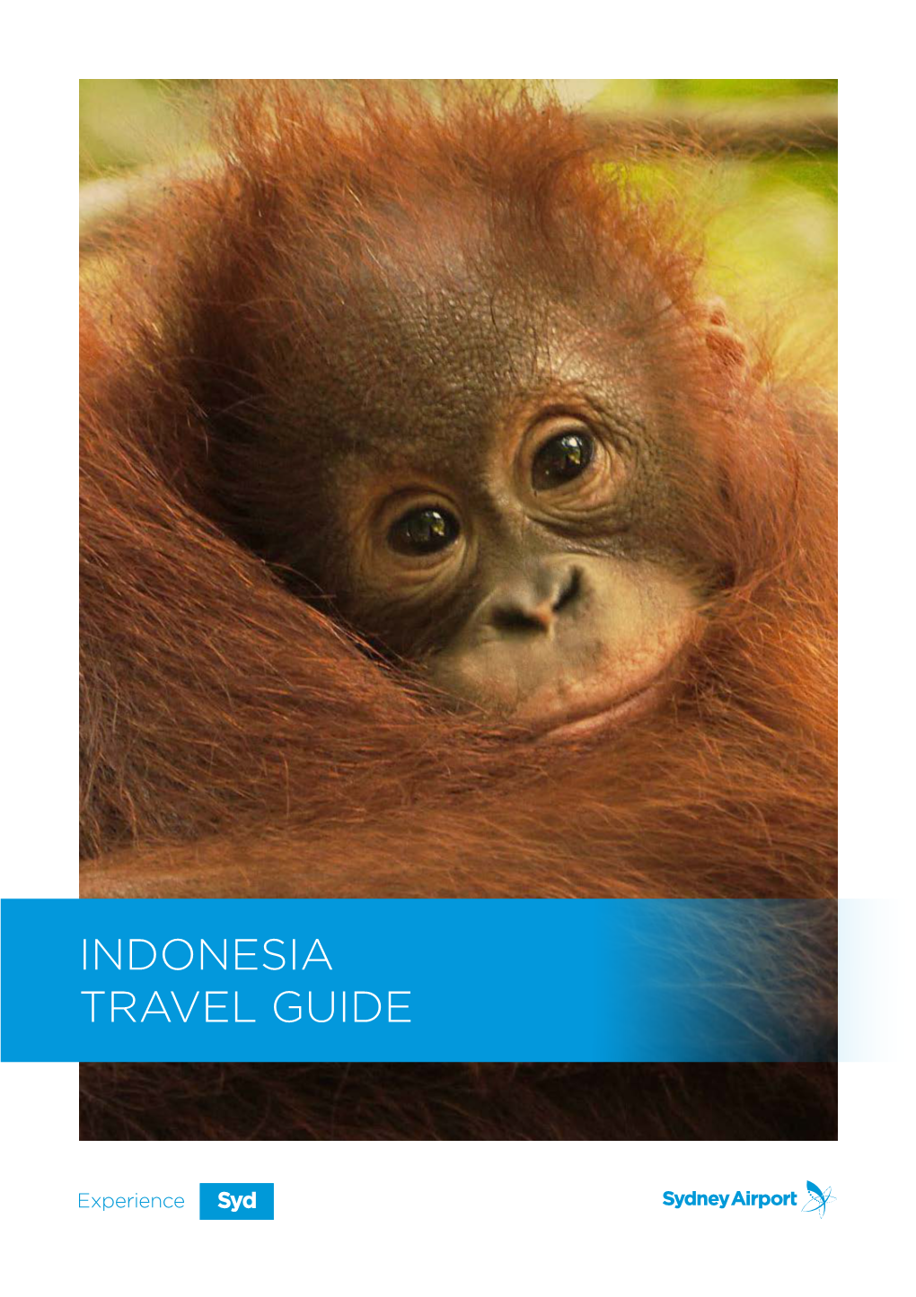 Indonesia Travel Guide