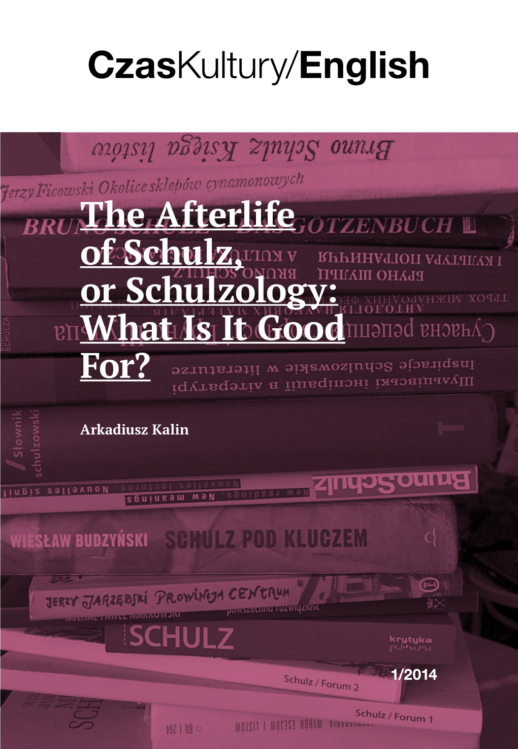 The Afterlife of Schulz, Or Schulzology: What Is It Good For?