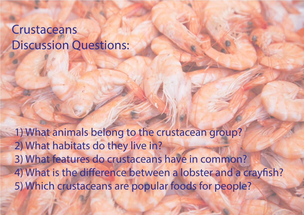 Crustaceans Discussion Questions