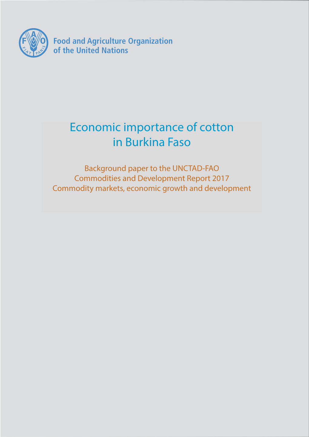 Economic Importance of Cotton in Burkina Faso