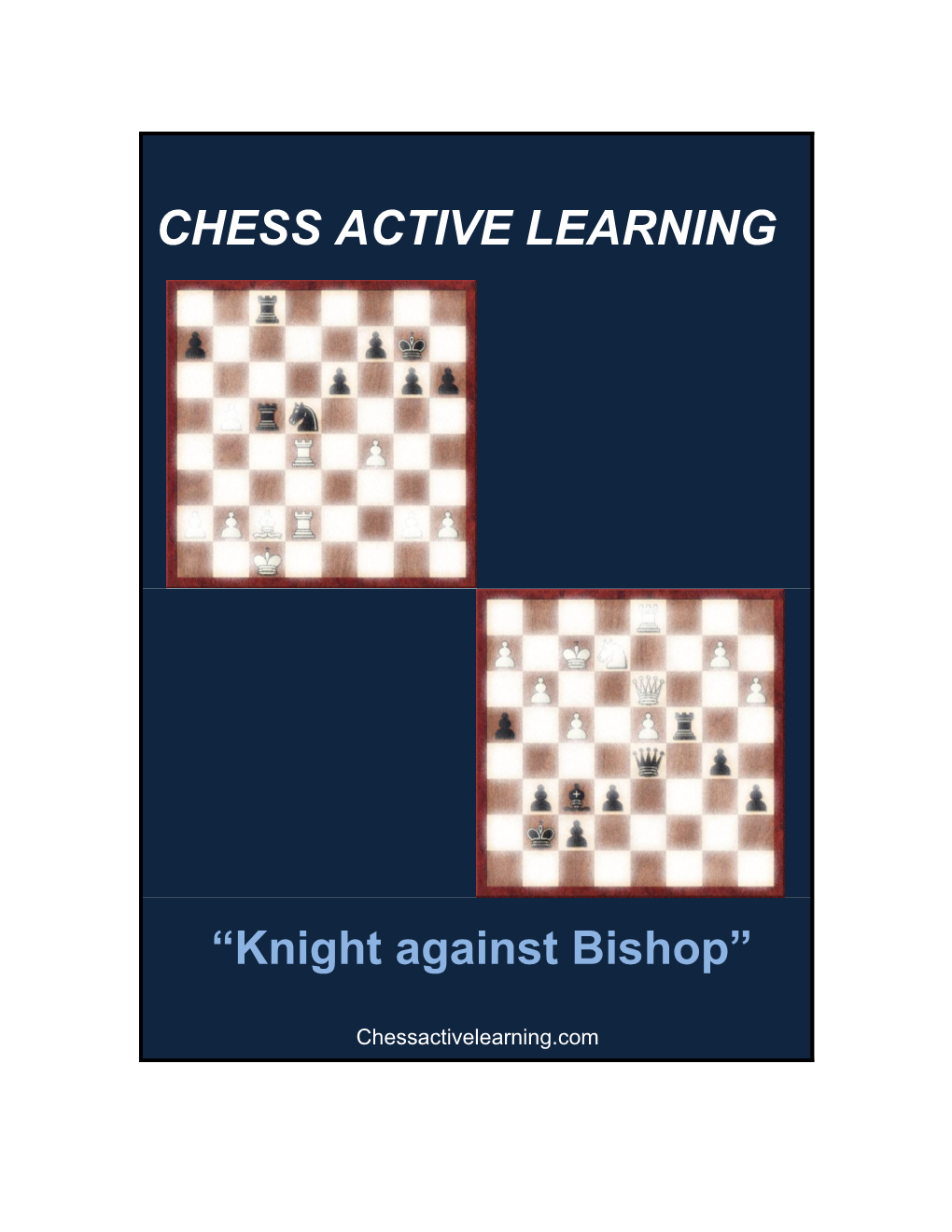 Chess Active Learing (Knight against Bishop)