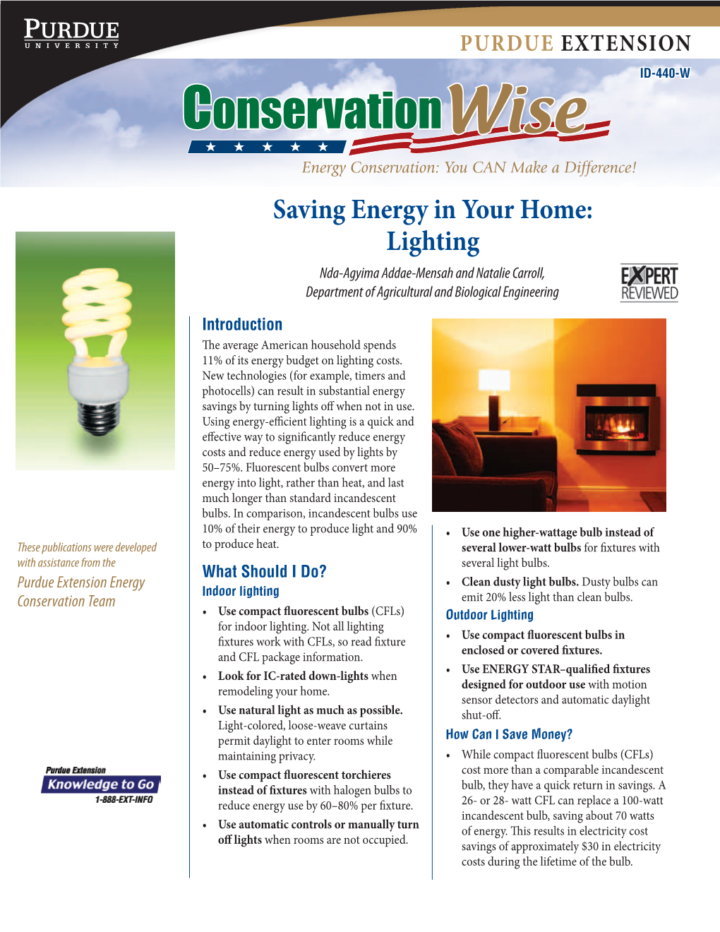 Saving Energy in Your Home: Lighting