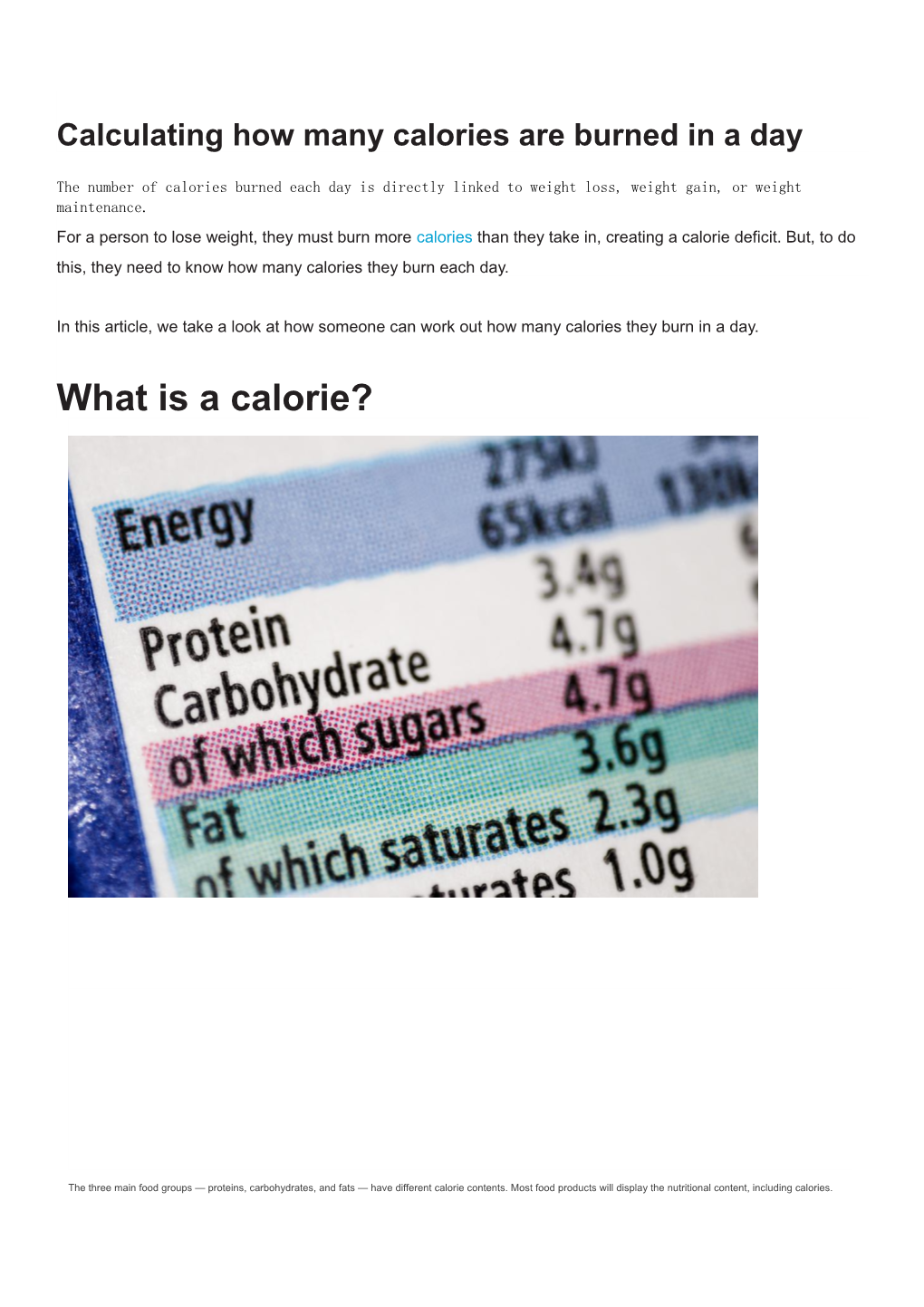 Calculating How Many Calories Are Burned in a Day