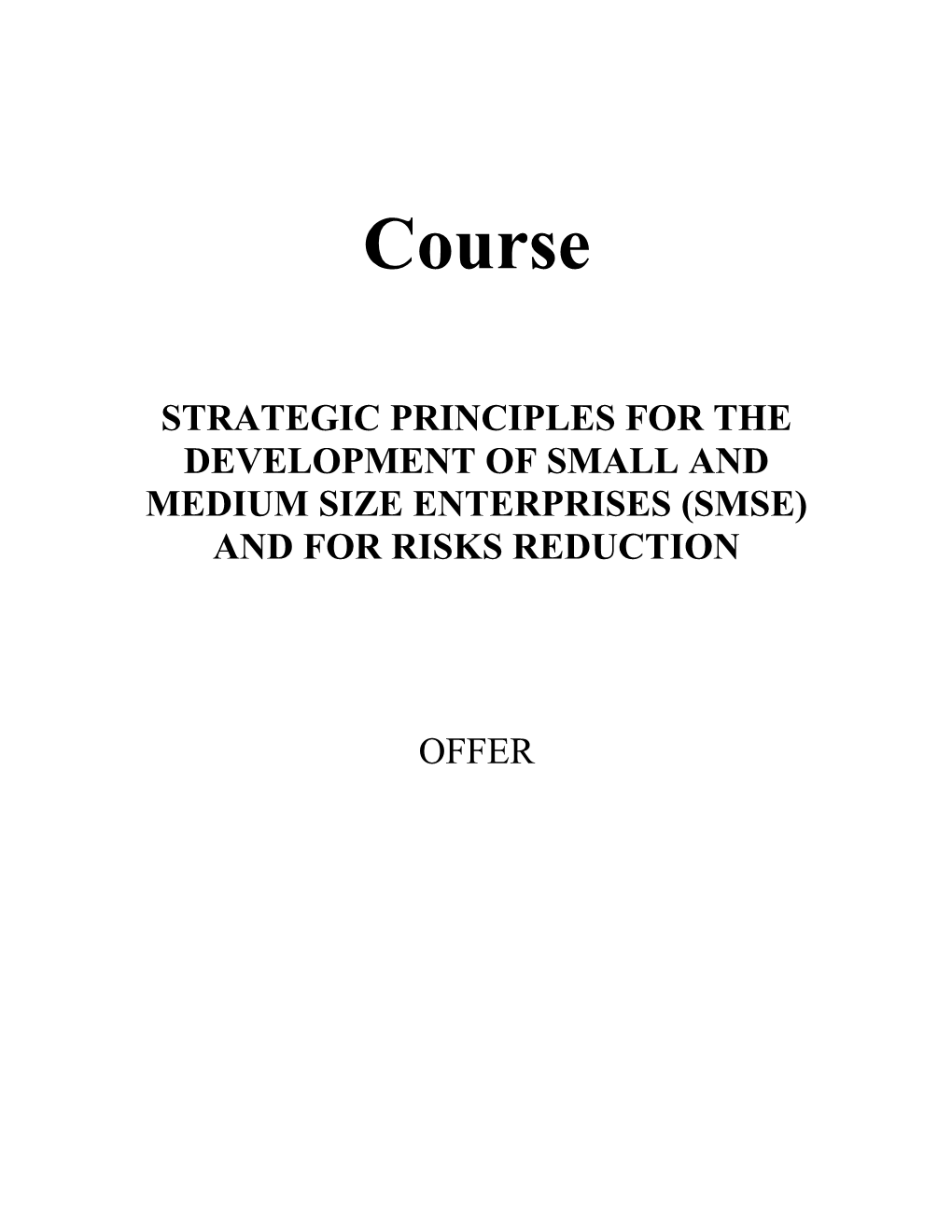 Strategic Principles Forthe Development of Small and Medium Size Enterprises (Smse) And