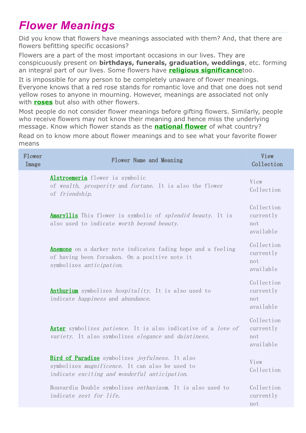 Flower Meanings