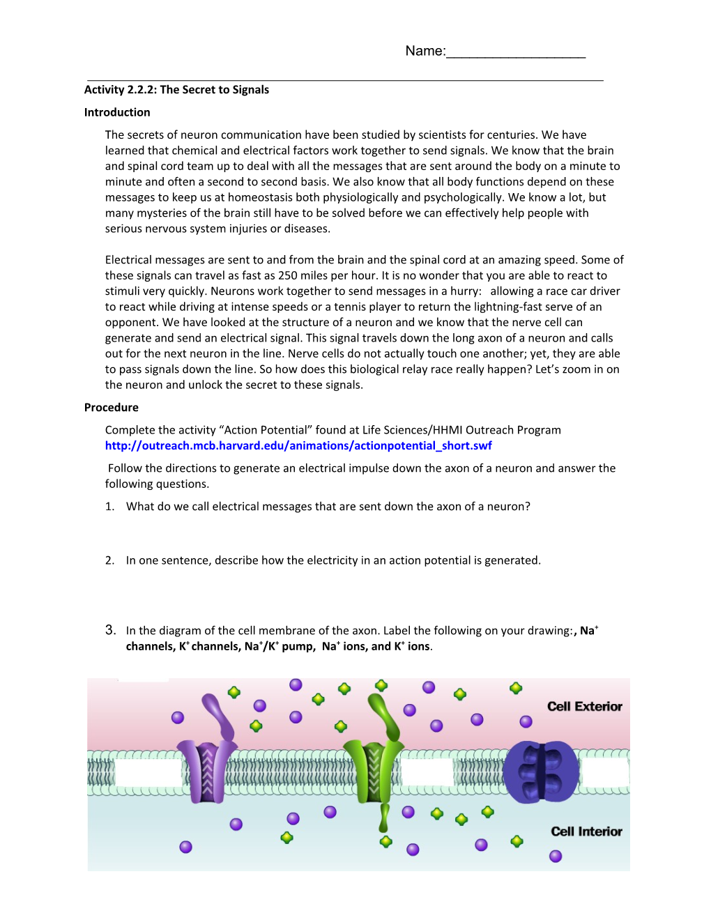 Complete the Activity Action Potential Found at Life Sciences/HHMI Outreach Program
