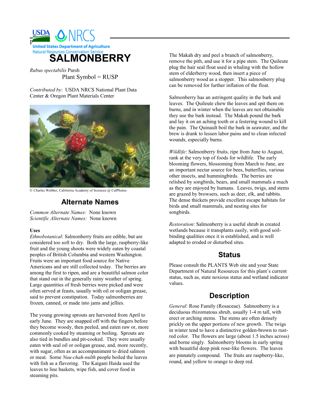 Plant Guide for Salmonberry (Rubus Spectabilis)