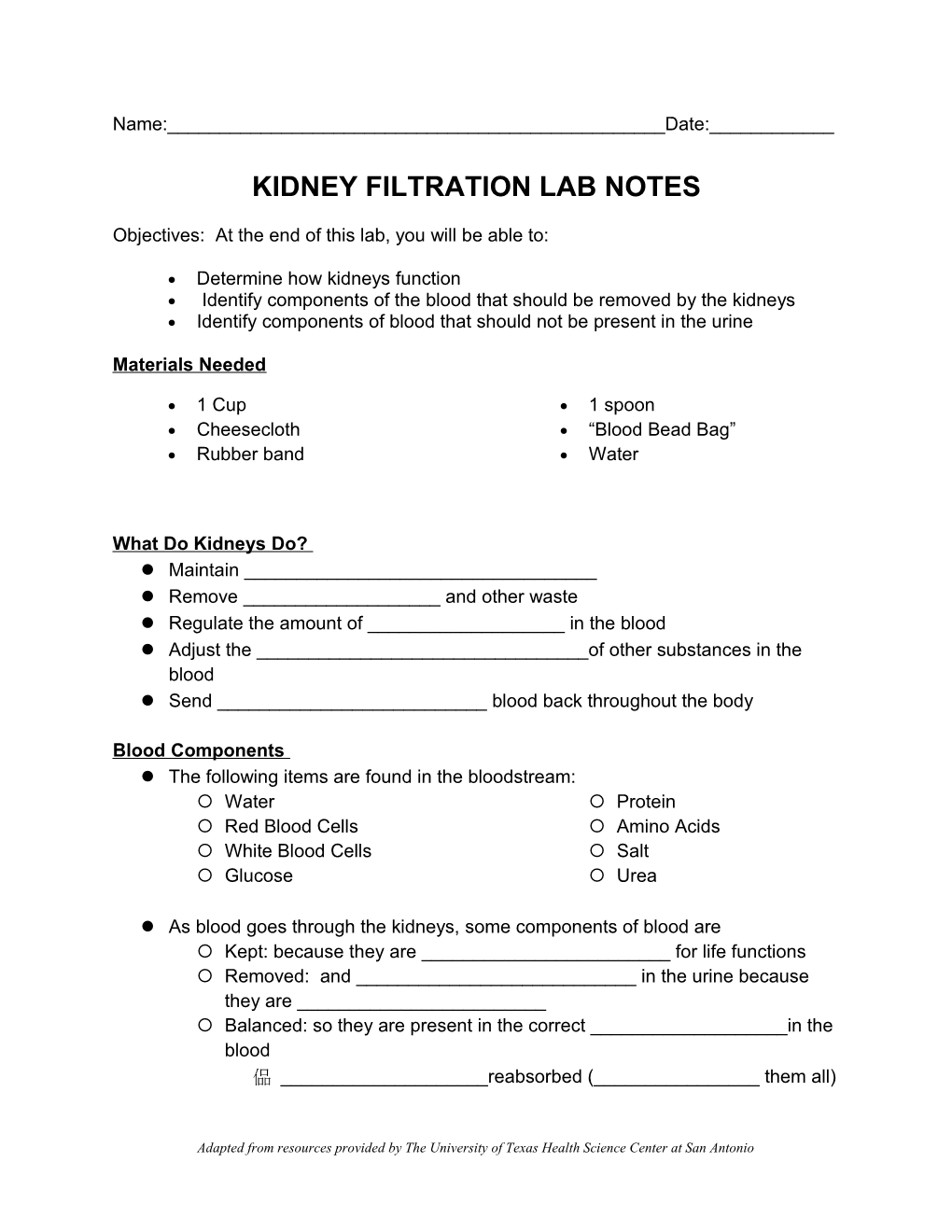 Kidney Filtration Lab