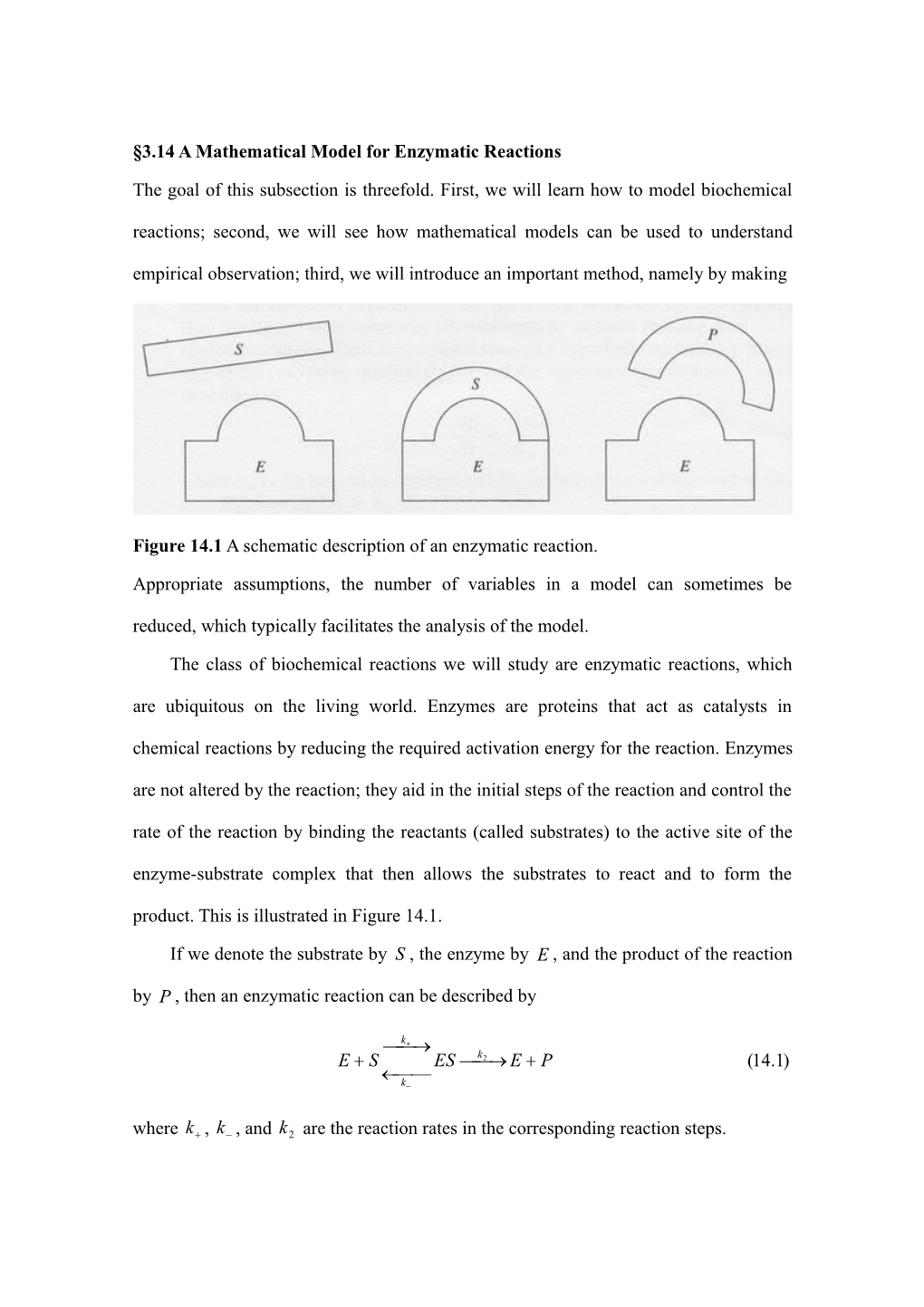 3.14 a Mathematical Model for Enzymatic Reactions