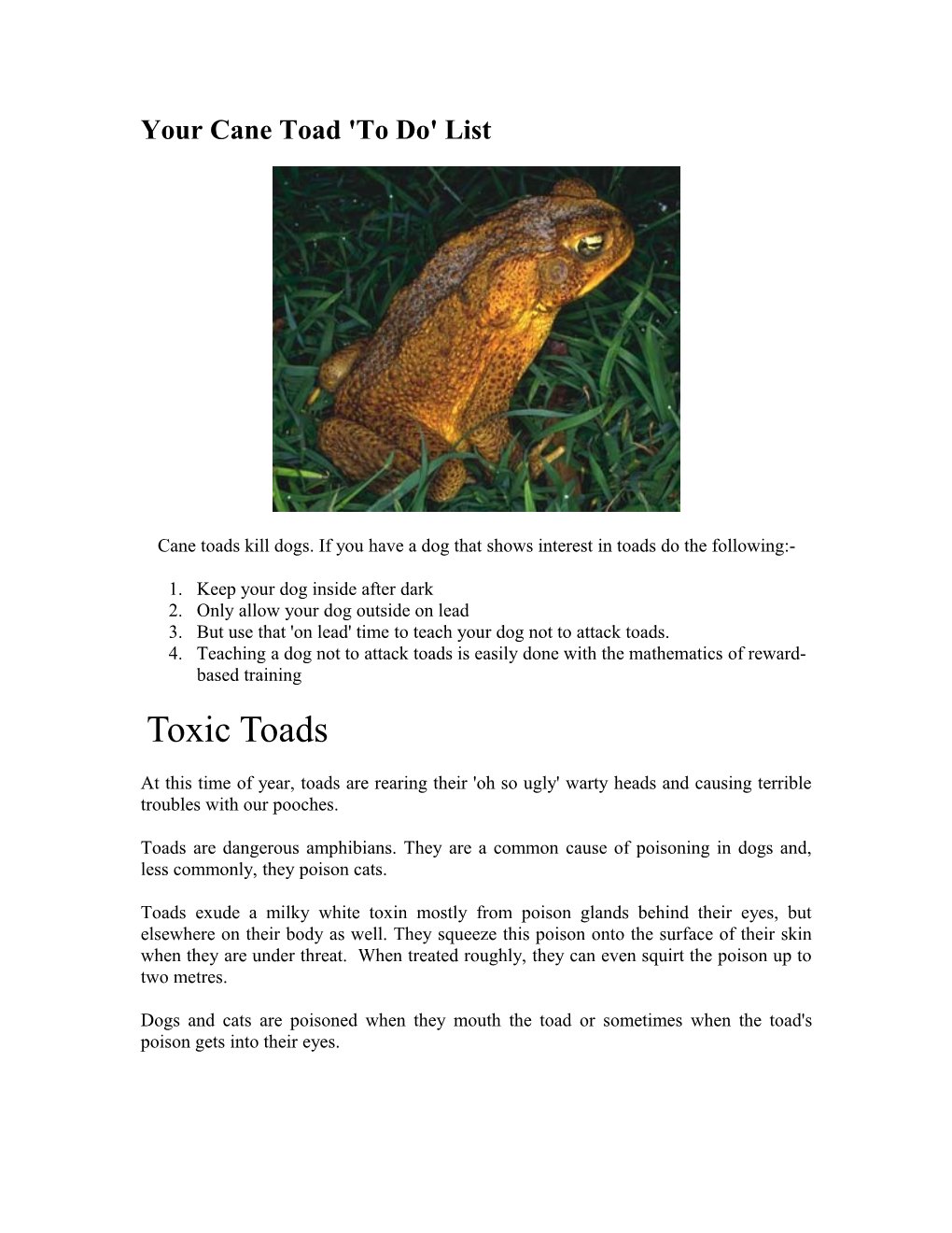Your Cane Toad 'To Do' List