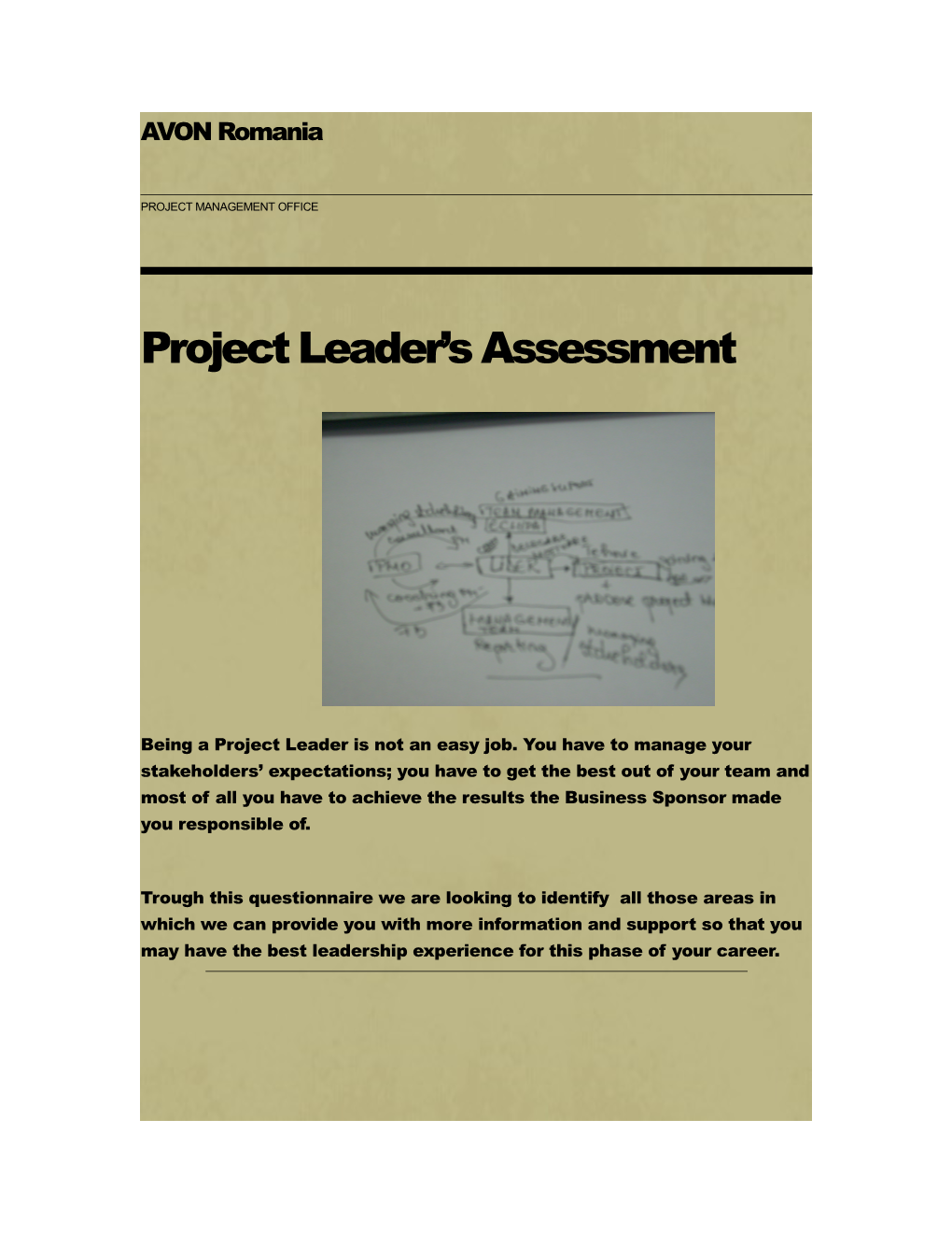 Project Leader S Assessment