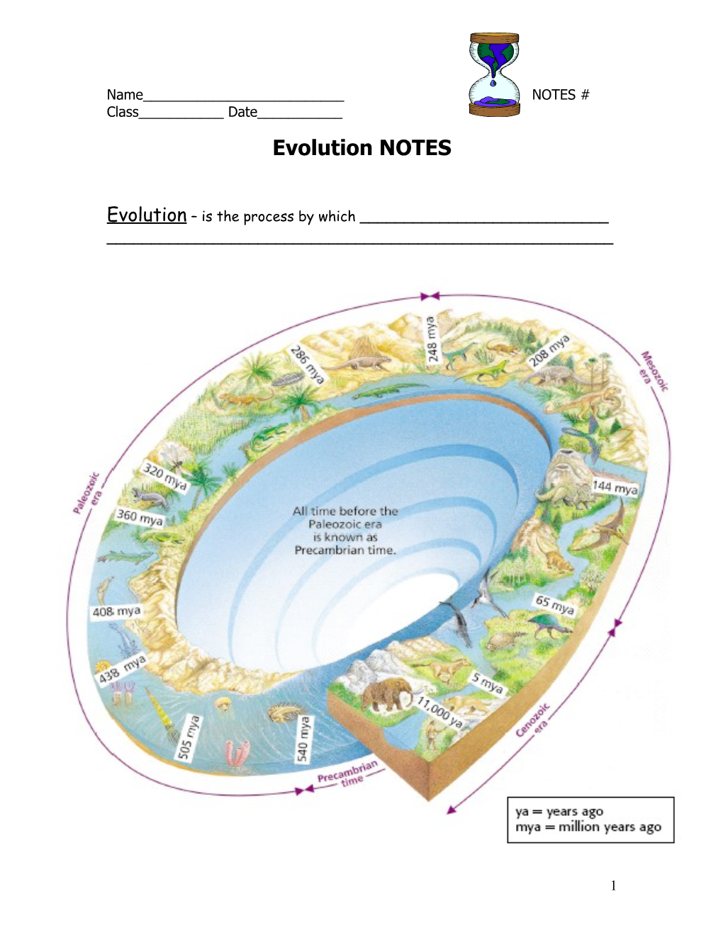 Evolution Is the Process by Which ______