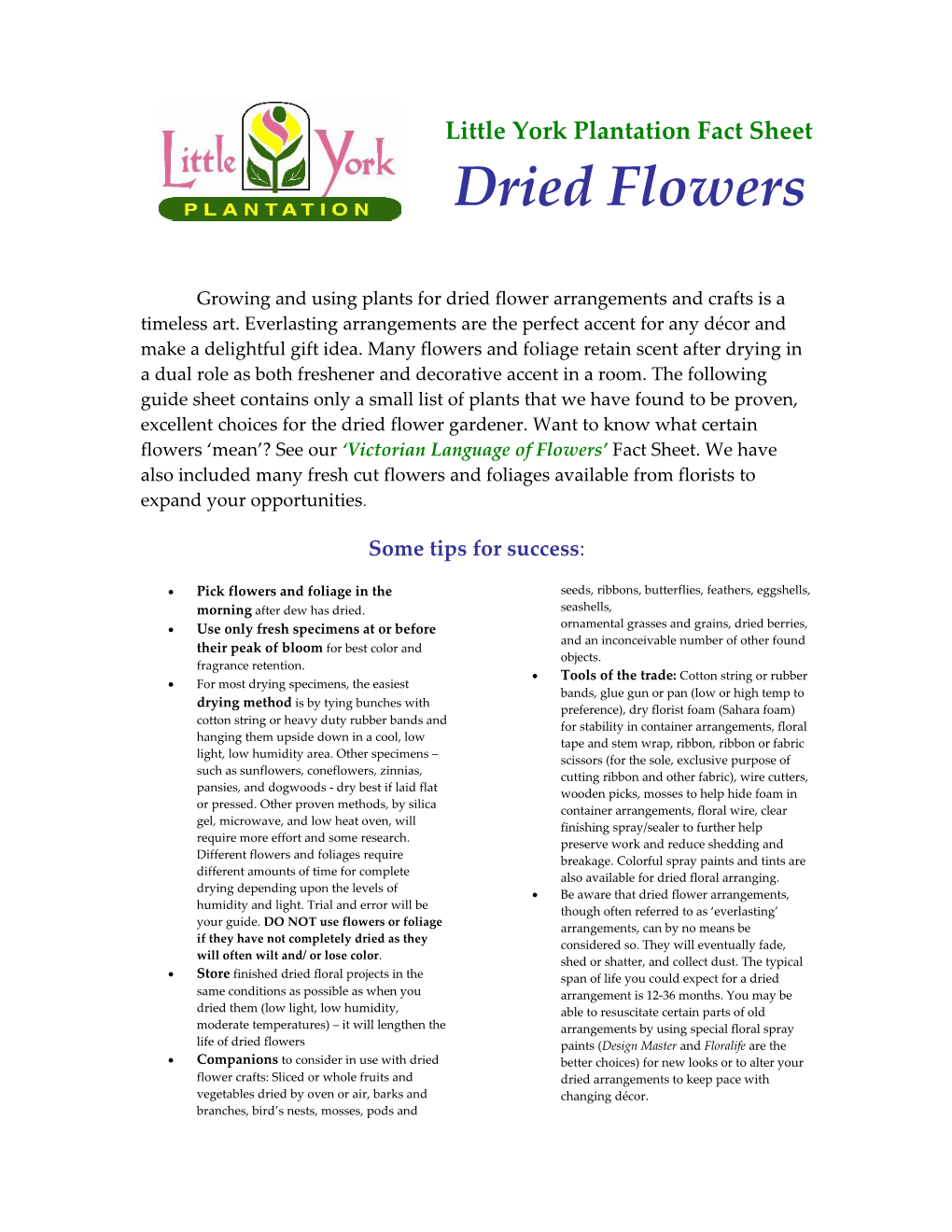 Plant Suggestions for Dried Flower