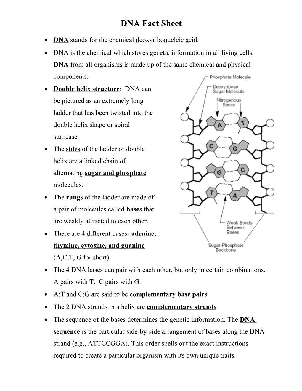 DNA Fact Sheet