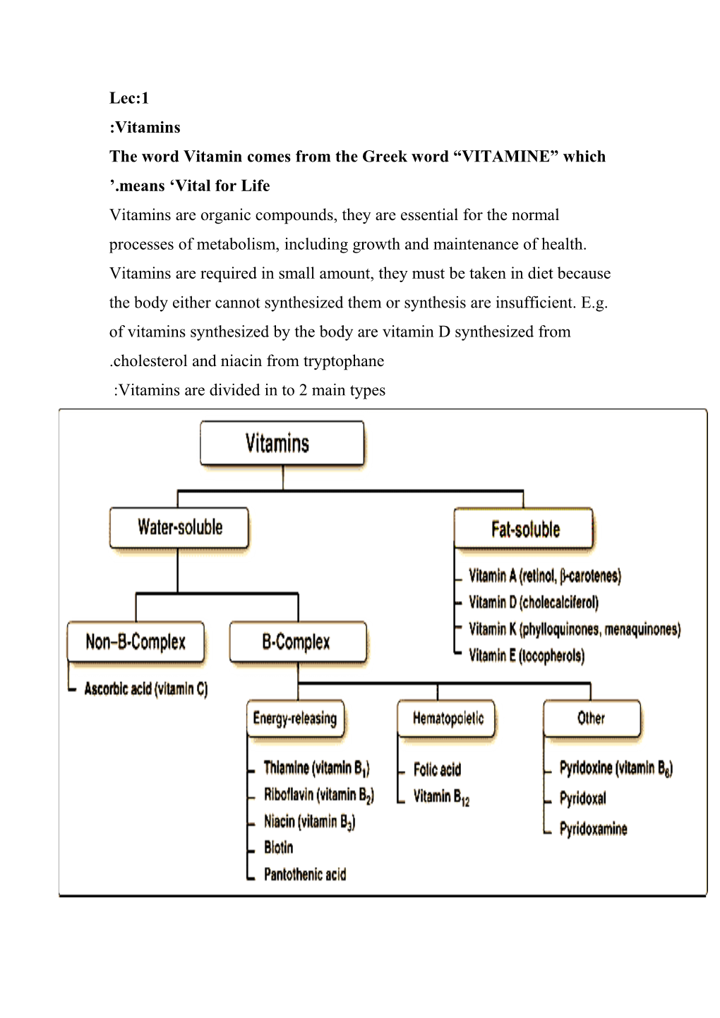 The Word Vitamin Comes from the Greek Word VITAMINE Which Means Vital for Life