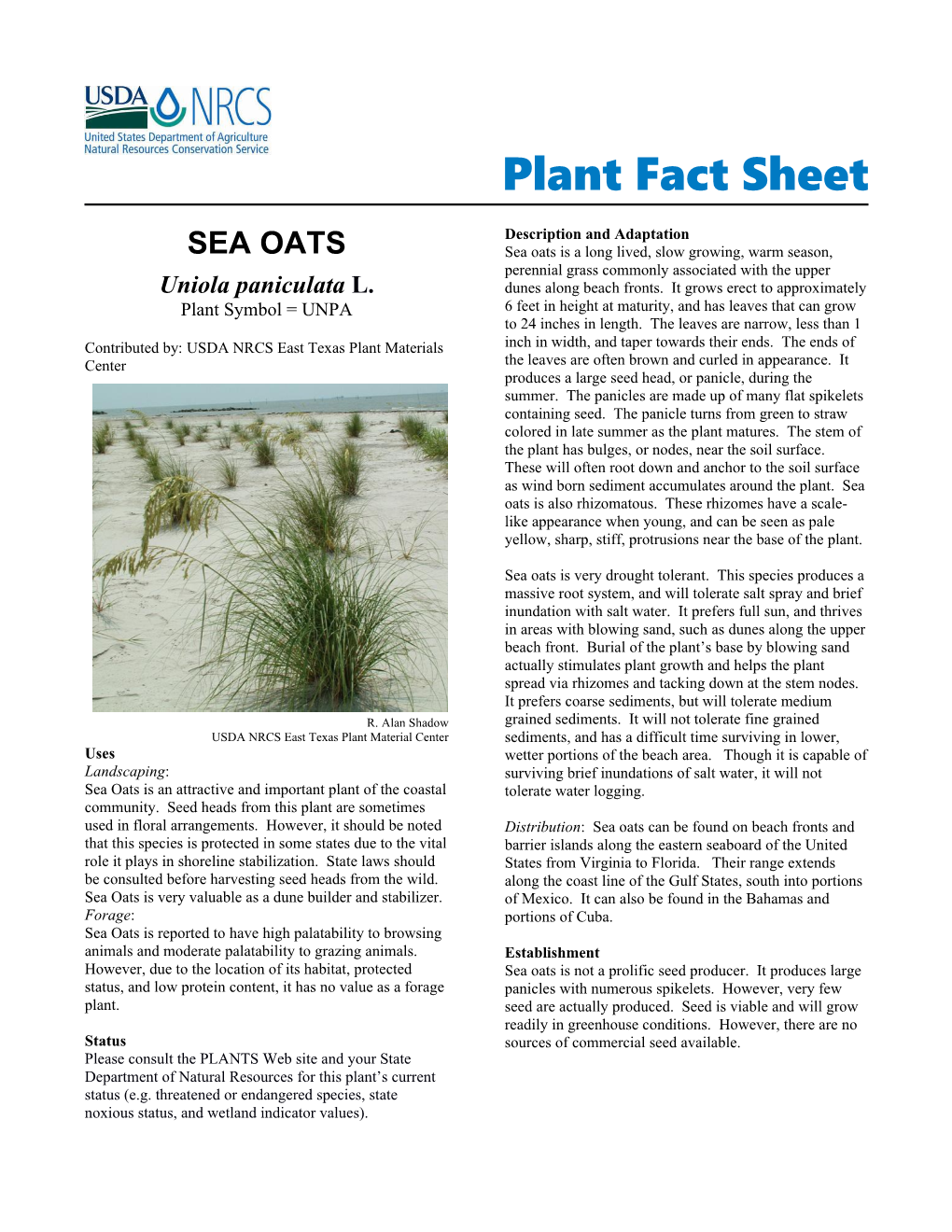 Sea Oats Plant Fact Sheet