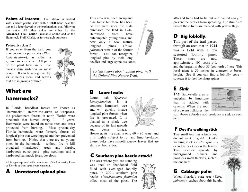 BASIC Trail Guide to HAMMOCK Nature Trail