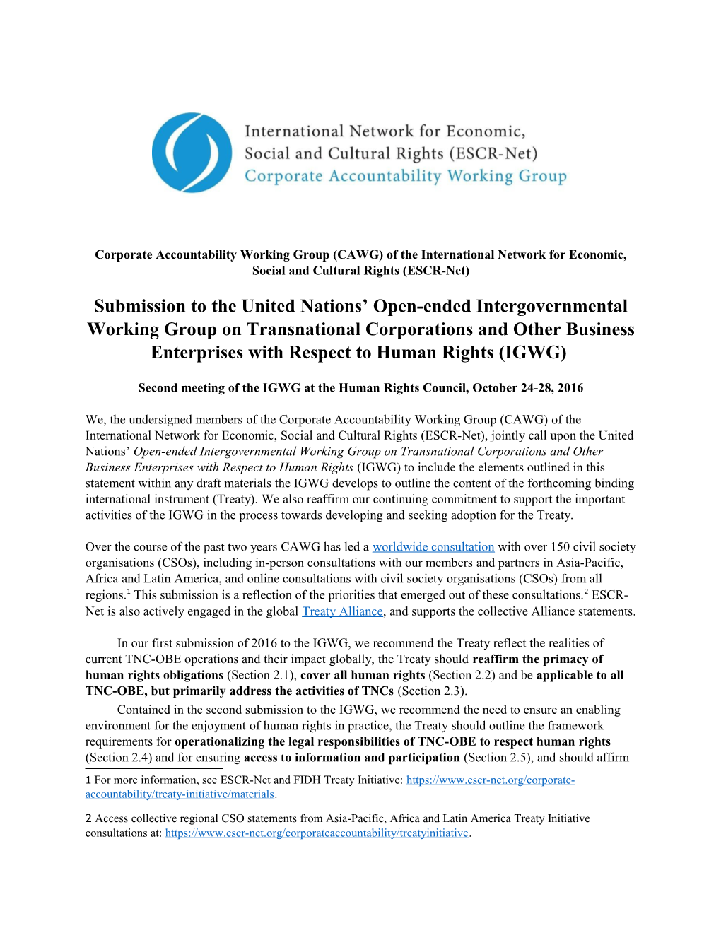 Corporate Accountability Working Group (CAWG) of the International Network for Economic