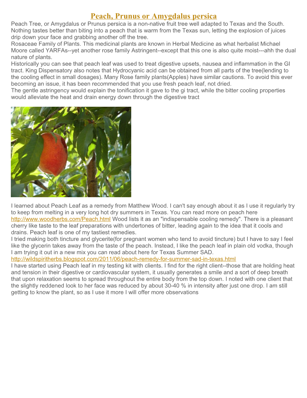 Peach, Prunus Or Amygdaluspersica