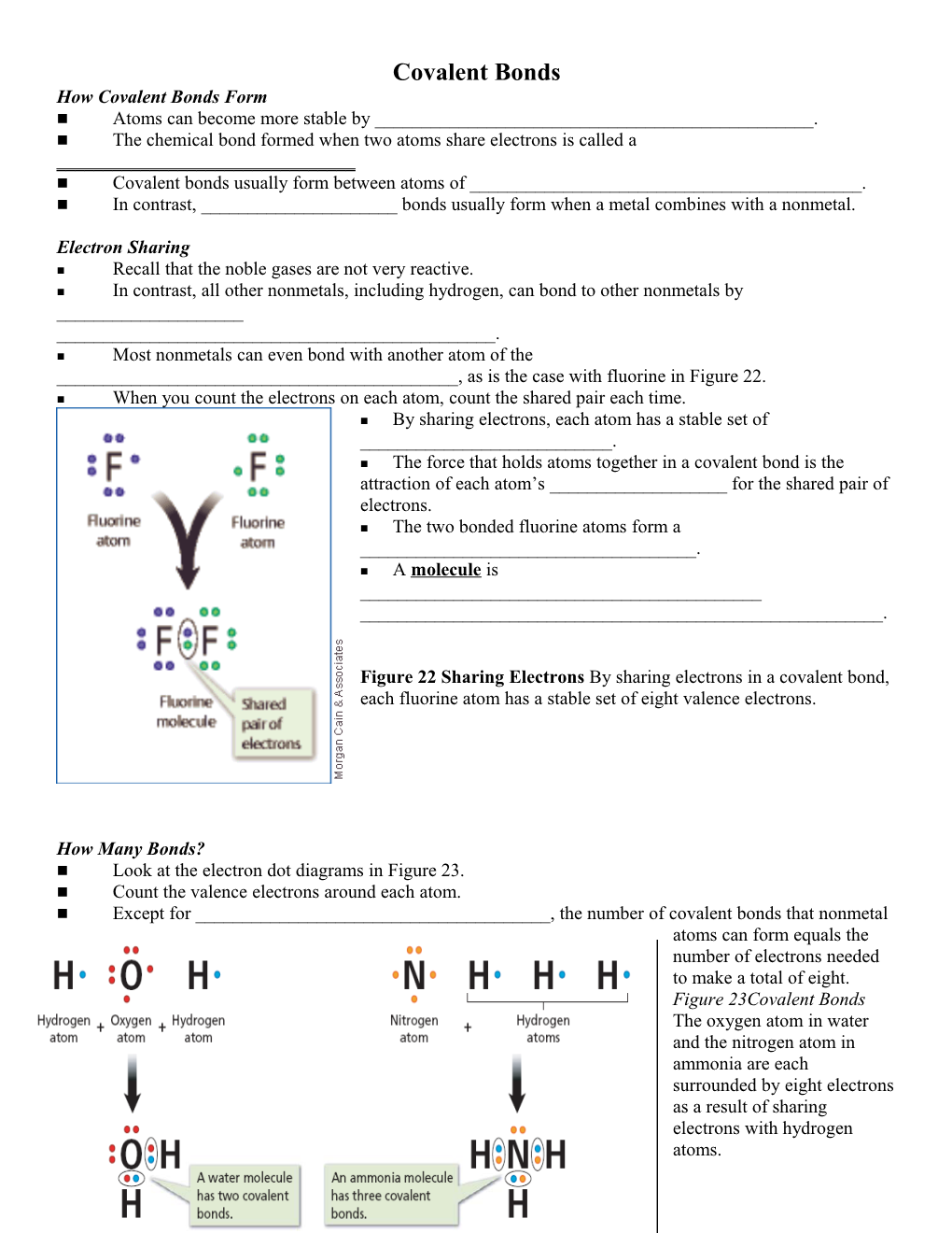 How Covalent Bonds Form