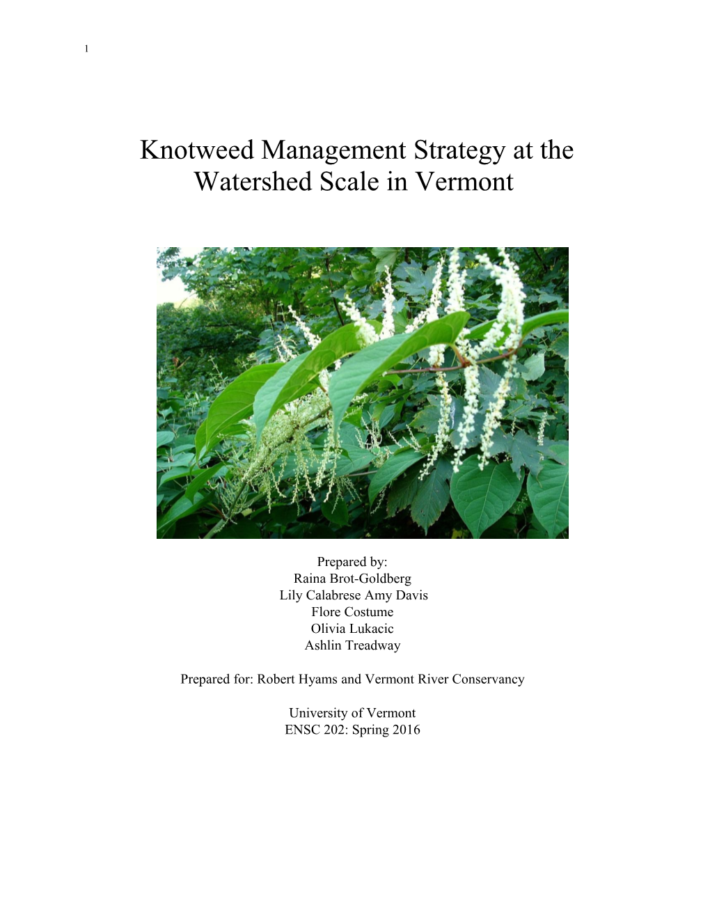 Knotweed Management Strategy at the Watershed Scale in Vermont