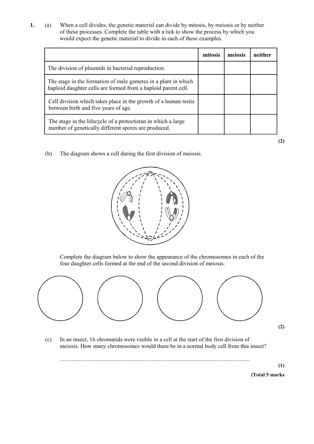 (B)The Diagram Shows a Cell During the First Division of Meiosis