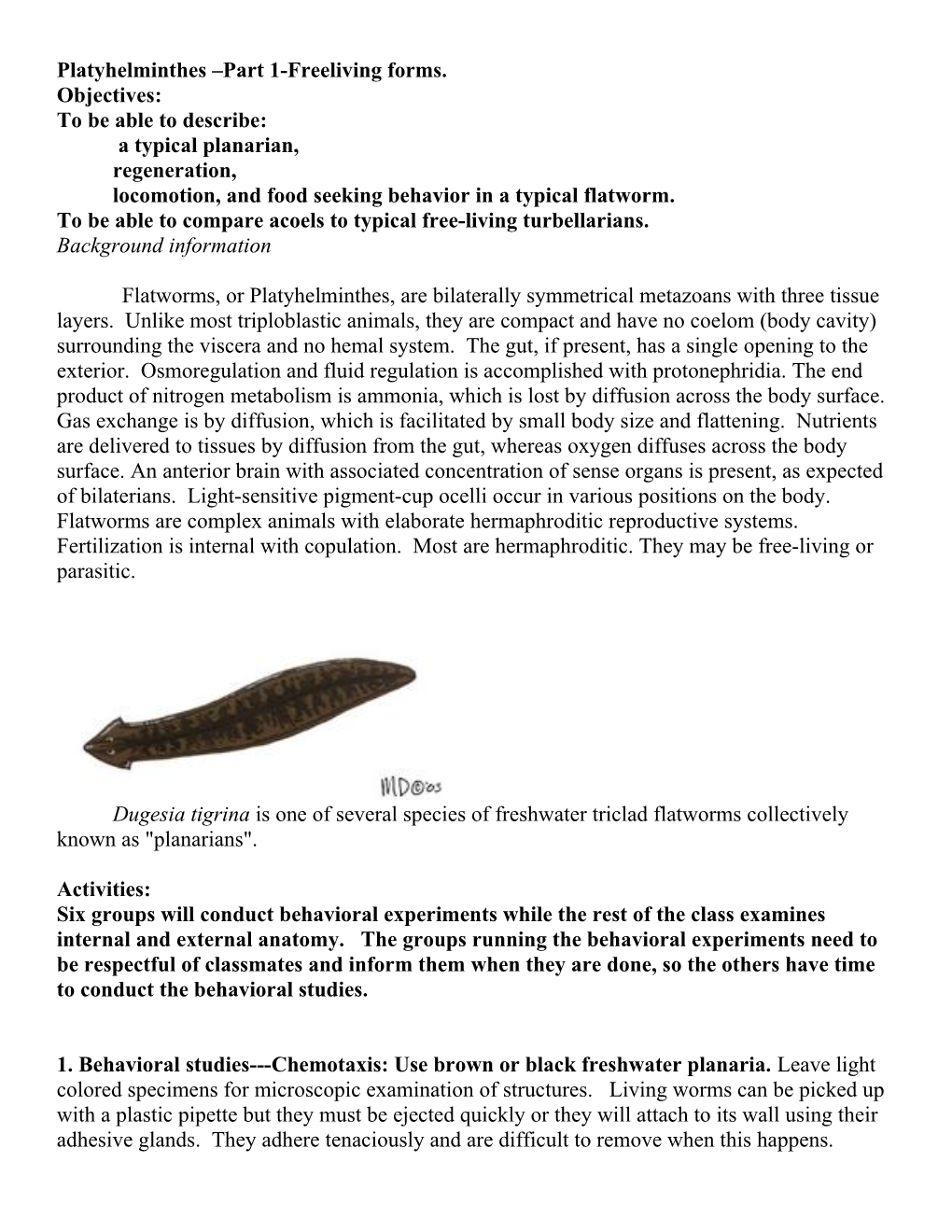 Platyhelminthes Part 1-Freeliving Forms