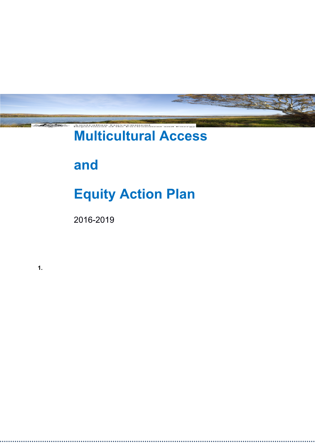 Multicultural Access and Equity Action Plan 2016-2019