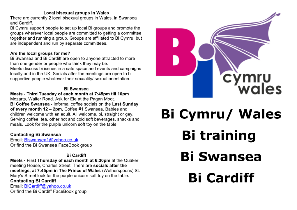 Local Bisexual Groups in Wales