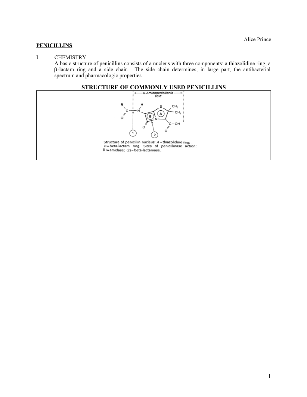 Structure of Commonly Used Penicillins