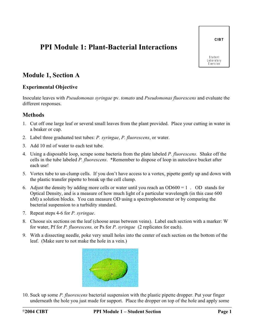 PPI Module 1: Plant-Bacterial Interactions