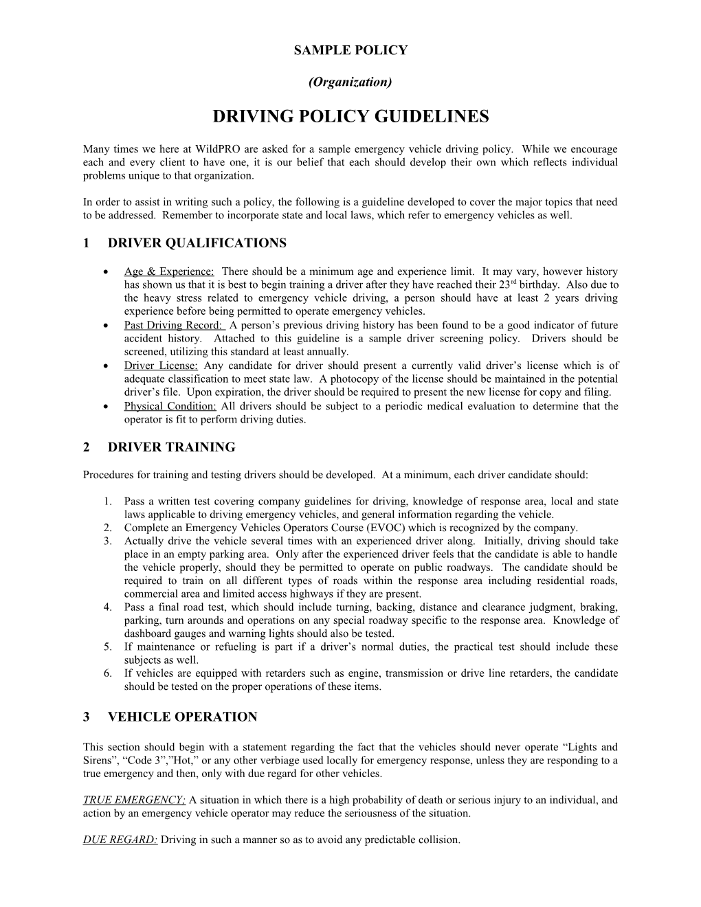 Driving Policy Guidelines