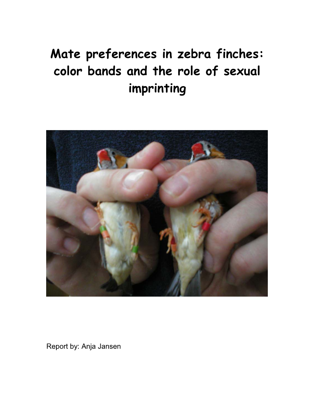 Mate Preferences in Zebra Finches: Color Bands and the Role of Sexual Imprinting