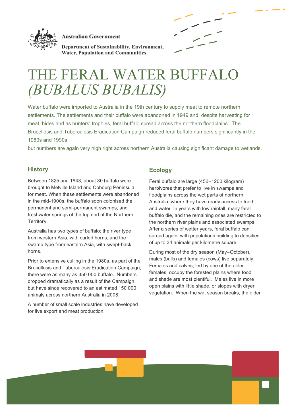 The Feral Water Buffalo (Bubalus Bubalis) - Fact Sheet