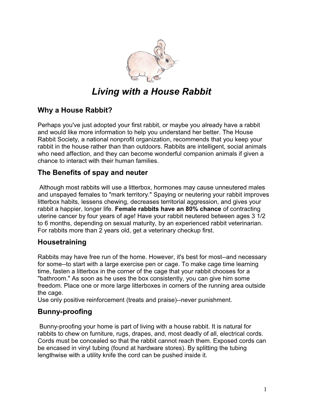 Why a House Rabbit?