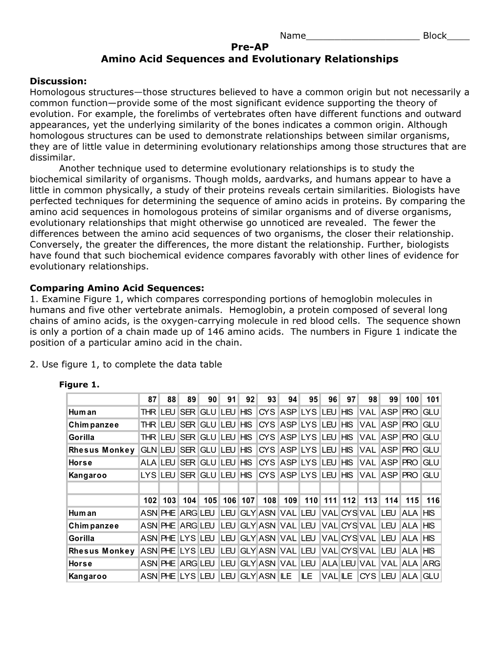 Amino Acid Sequences and Evolutionary Relationships