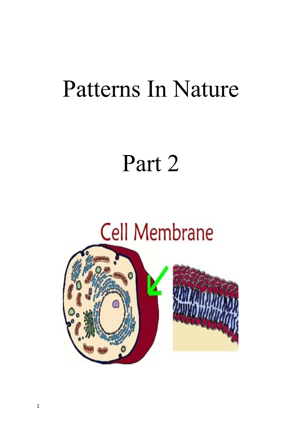 Membranes Around Cells Provide Separation from and Links with the External Environment