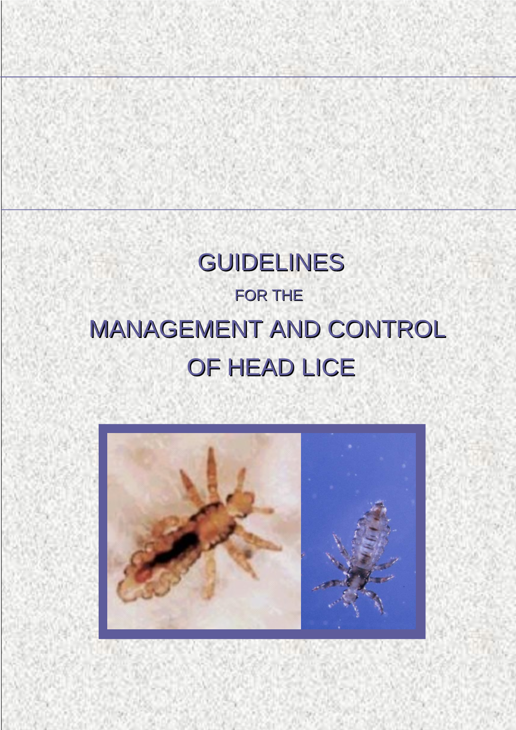 Management of Head Lice in Schools