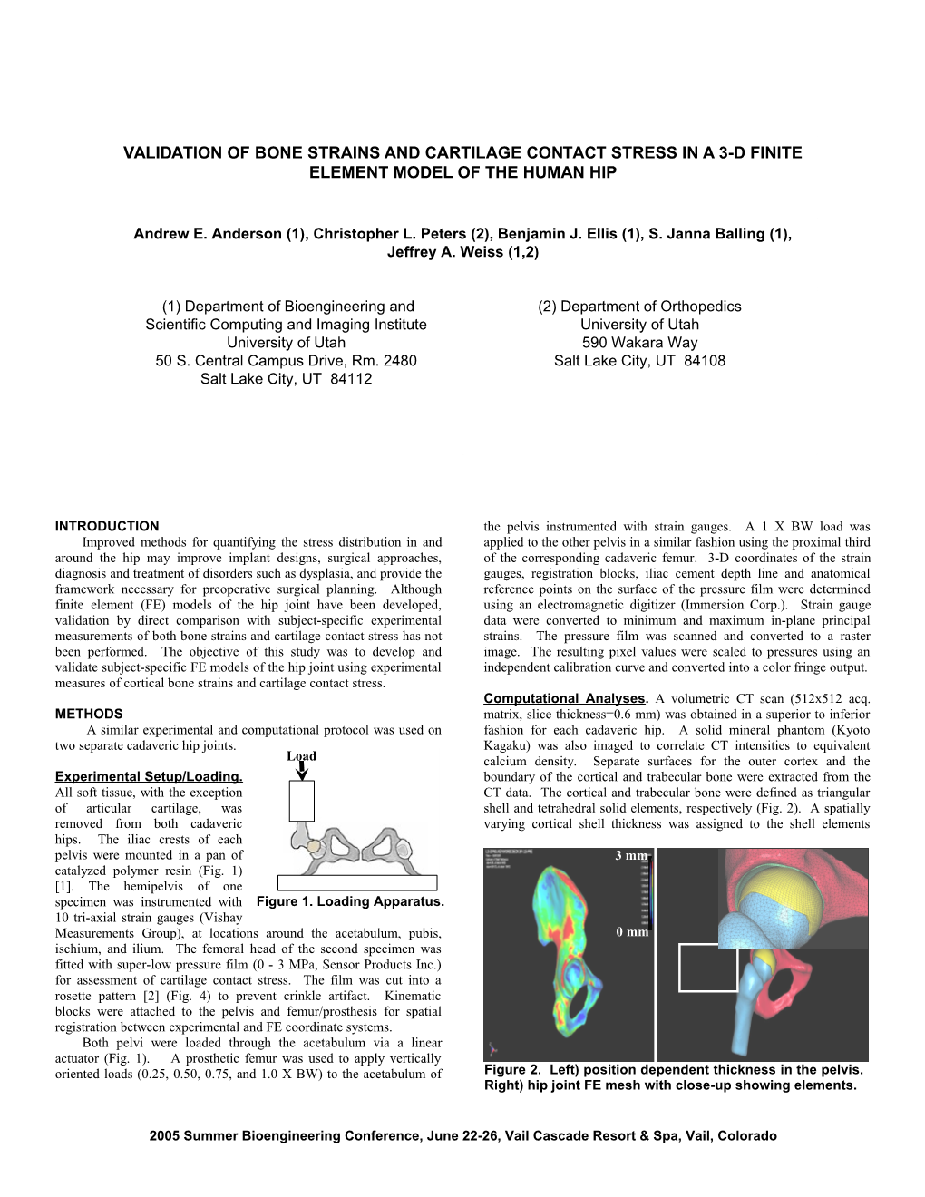 The SBC2005 Abstract Template