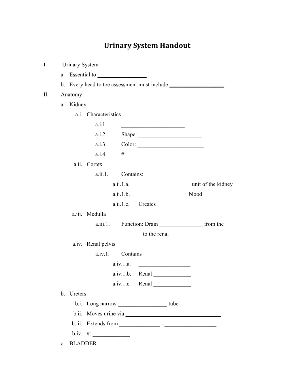 Urinary System Handout