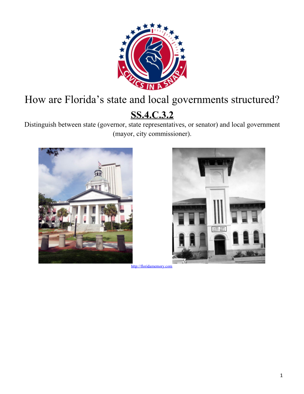How Are Florida S State and Local Governments Structured?