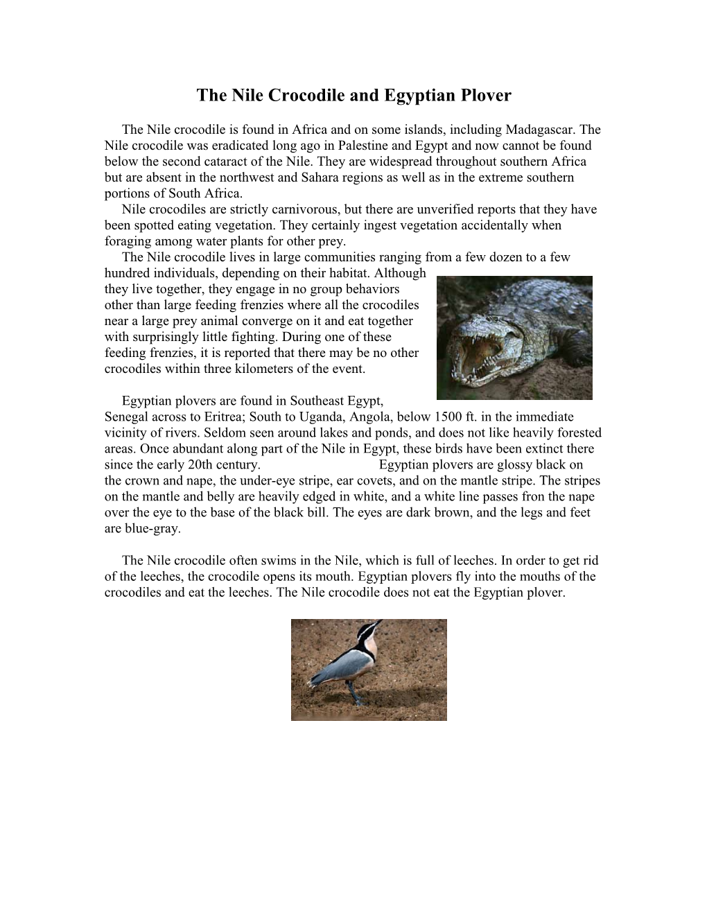 The Nile Crocodile and Egyptian Plover