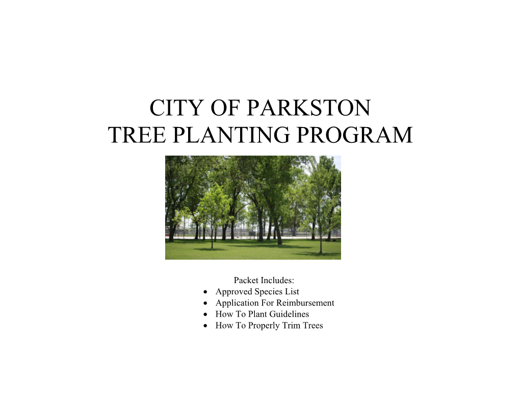 City of Parkston