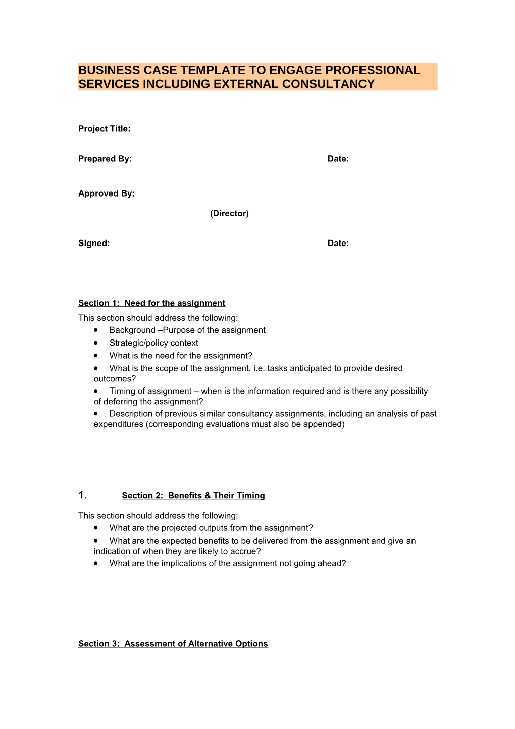 Business Case Template for Proposal to Engage an External Resource