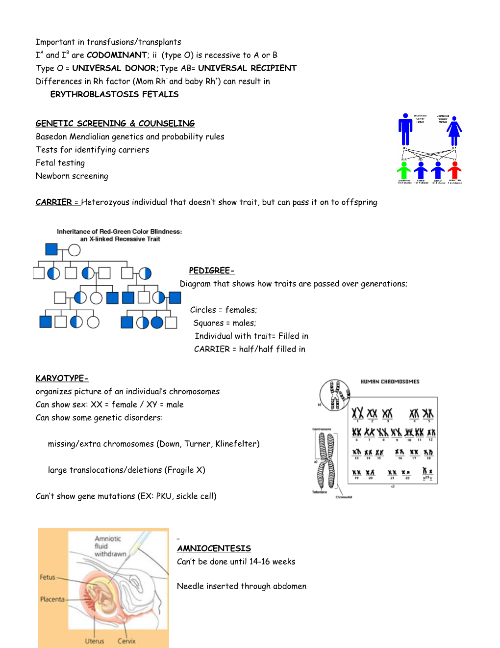 GENETICS-Chapter 11 Observable Characteristic = TRAIT Alternative Choices for a Gene =