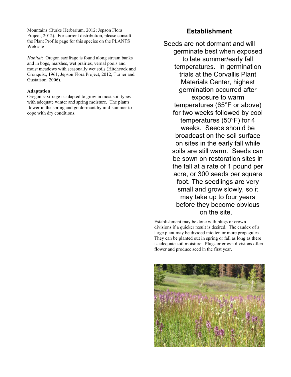 Oregon Saxifrage, Saxifraga Oregana, Oregon Saxifrage (Saxifraga Oregana) Plant Guide